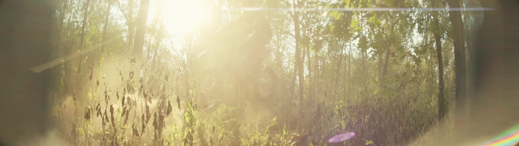 Two dirt bikes burst through a sundrenched forest trail dust swirling in the golden light as they race between the trees