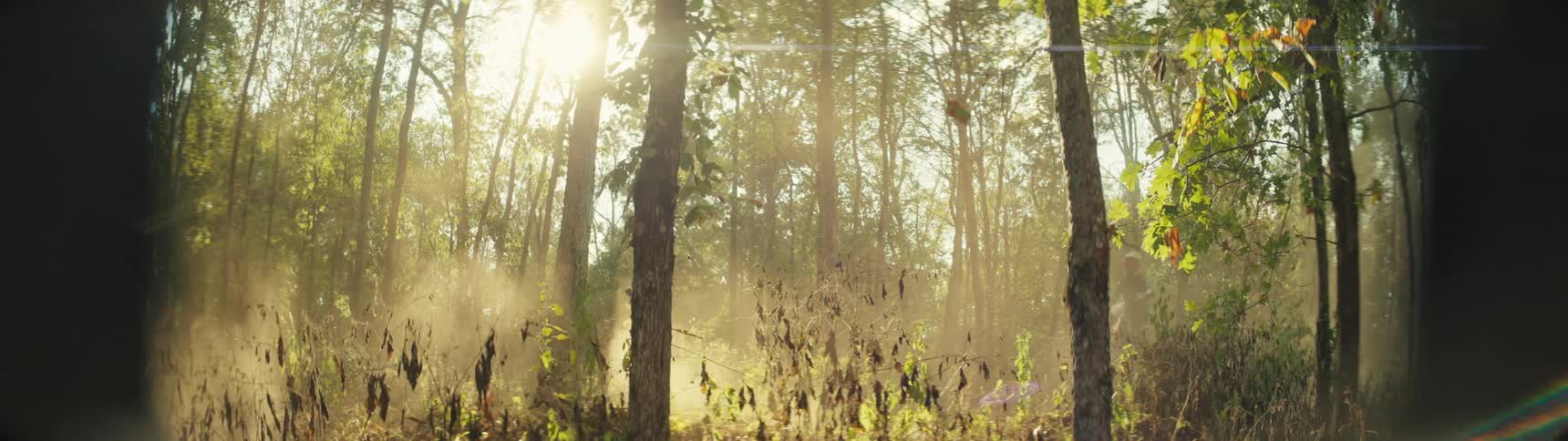 Two motorcyclists racing through the forest