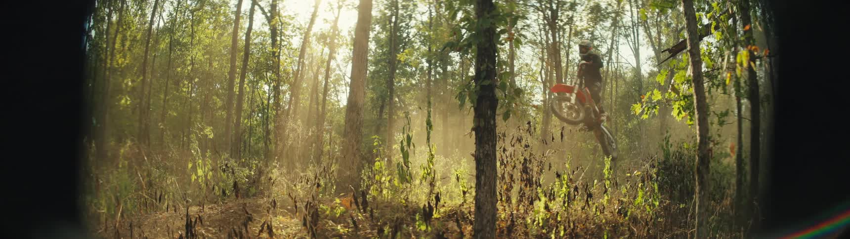 Motorcyclist jumps their dirt bike through the air in the woods on an autumn day