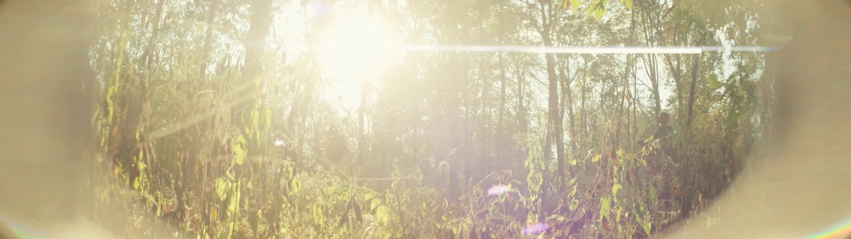 Dirt bike rider rides on a forest trail under strong sunlight among trees