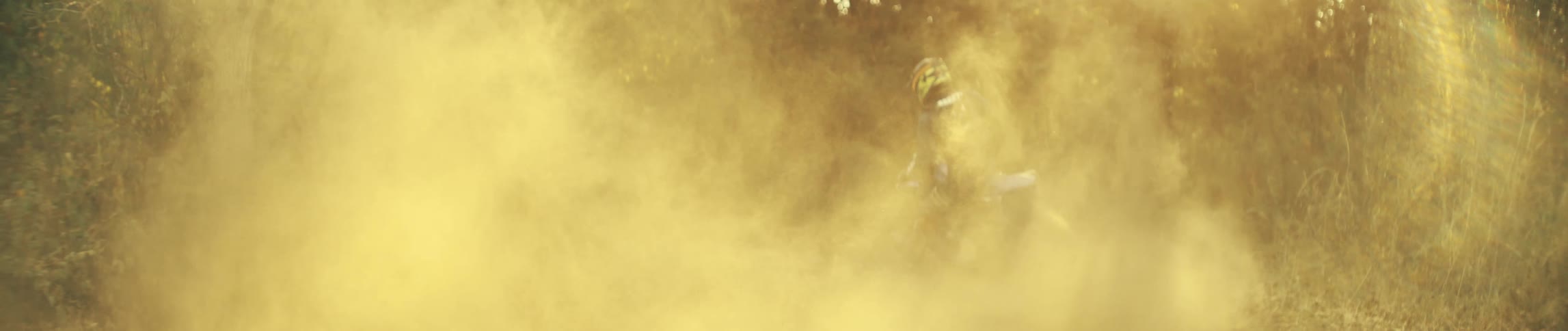A biker rides a mountain bike in the woods spraying dust into the atmosphere at midday
