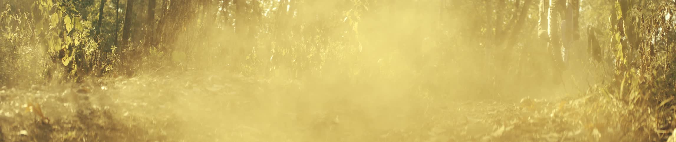Dirt bike rider rides on a forest trail with dust illuminated by sunlight