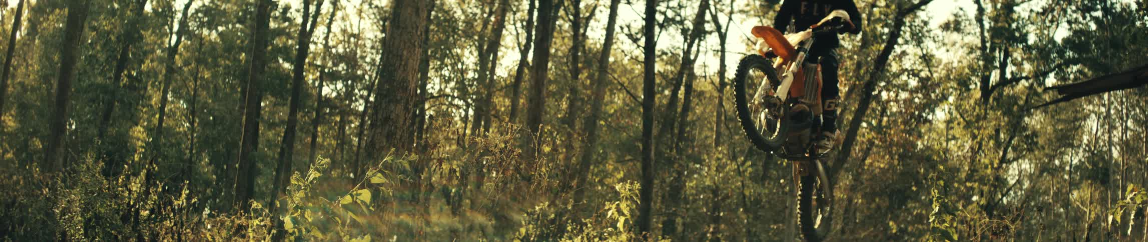 Plants and vegetation in the woods as a motorcycle leaps from a trail between the trees