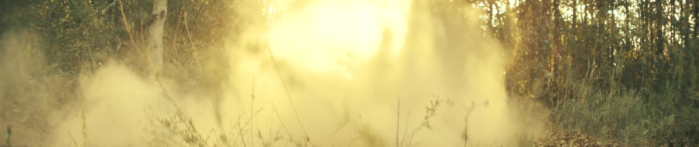 Motocross biker riding a motorcycle in a forest and leaving a dust trail behind outdoors during day time