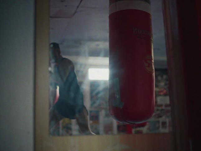 A boxer training