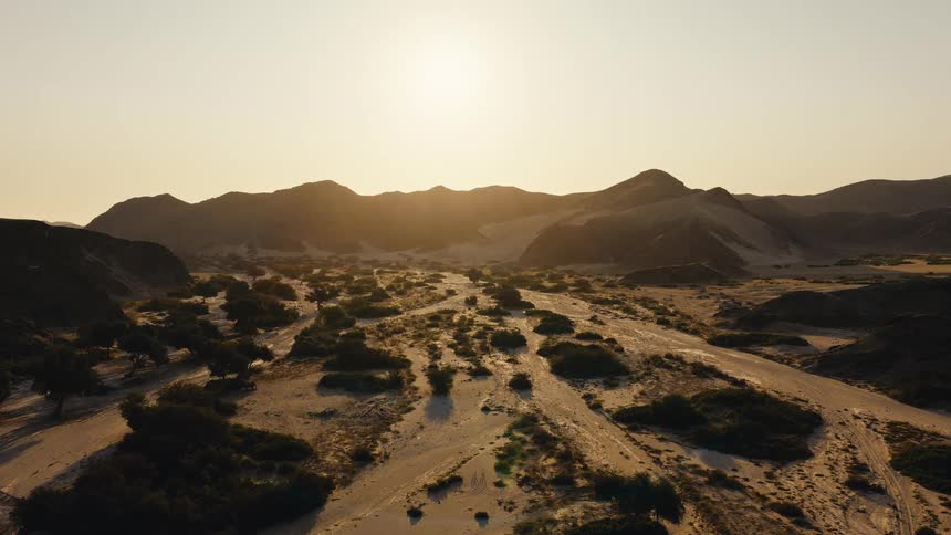 The landscape leads to a mountain range