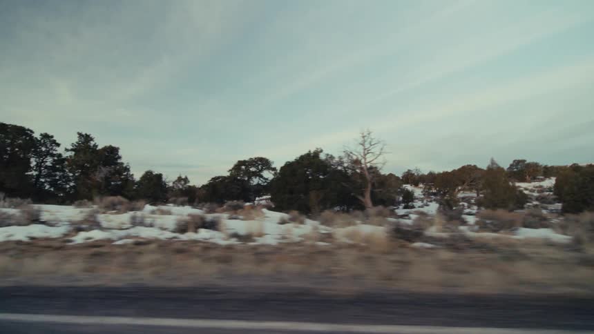 A view from a moving vehicle shows a vast desert landscape with patches of white snow on the ground and evergreen trees under a pale blue sky with light clouds