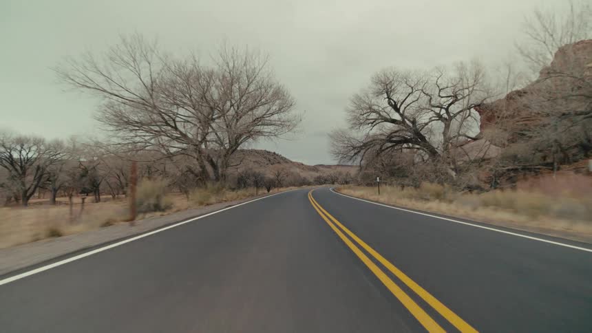 The video shows a smooth lowangle shot of a twolane asphalt road winding through a desert landscape under a gray overcast sky bare spindly trees and rugged rock formations line the route as the camera moves forward along the double yellow lines