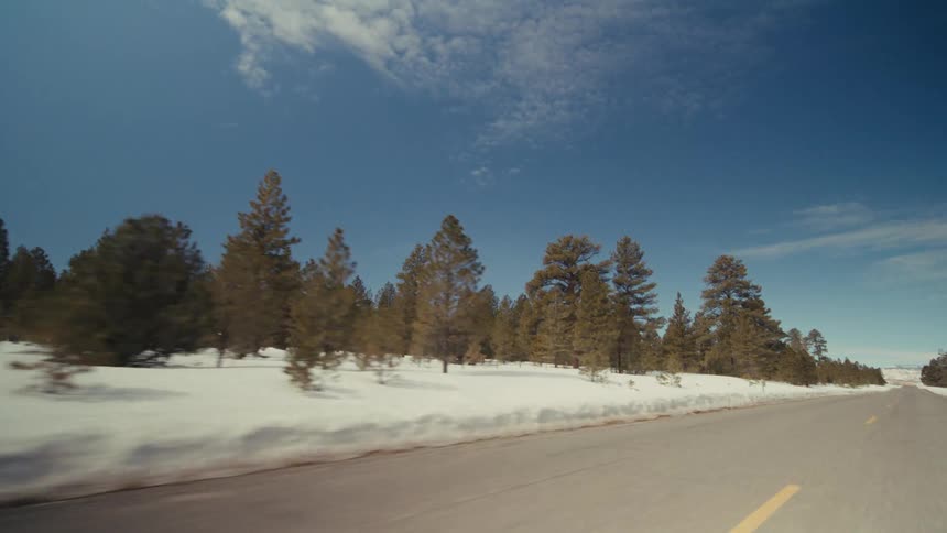 A view of snow on a forest along the edge of a road
