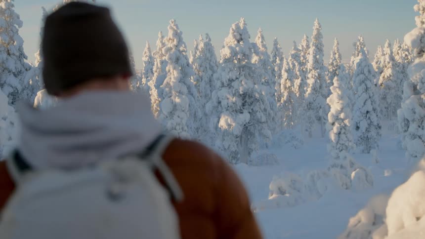 Male hiker stands looking at a grove of snow and ice crusted conifers on a winter day