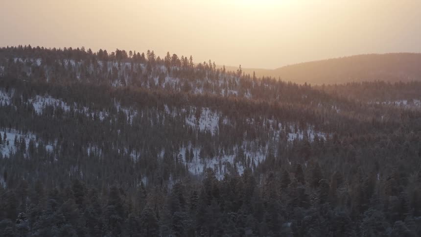 Forest on hills with patches of snow under golden evening light