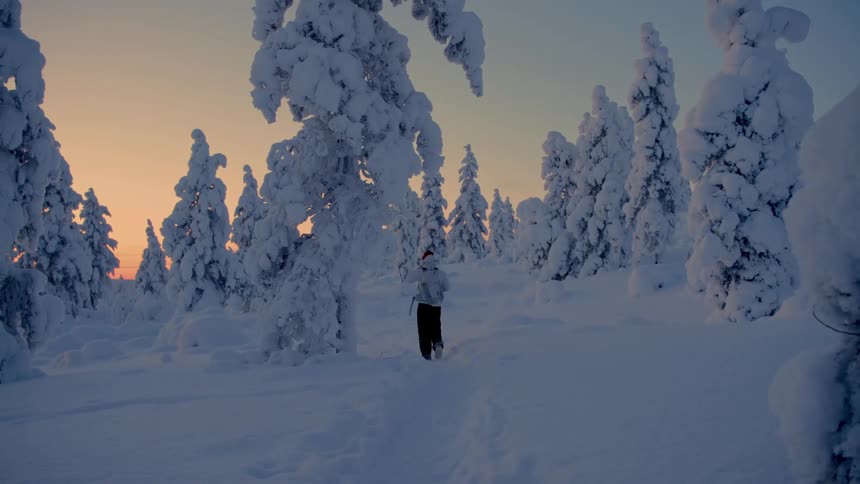A lone hiker walks through a snow covered landscape full of pine trees