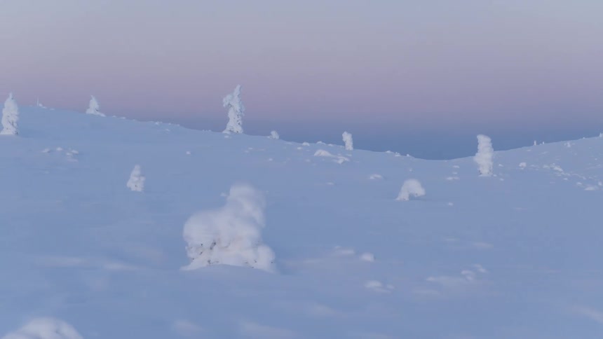 Snowy landscape with small icecovered trees under a pinktoned sky