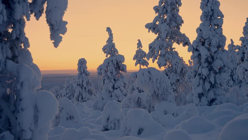 Deep snow covers an alpine forest at sunset