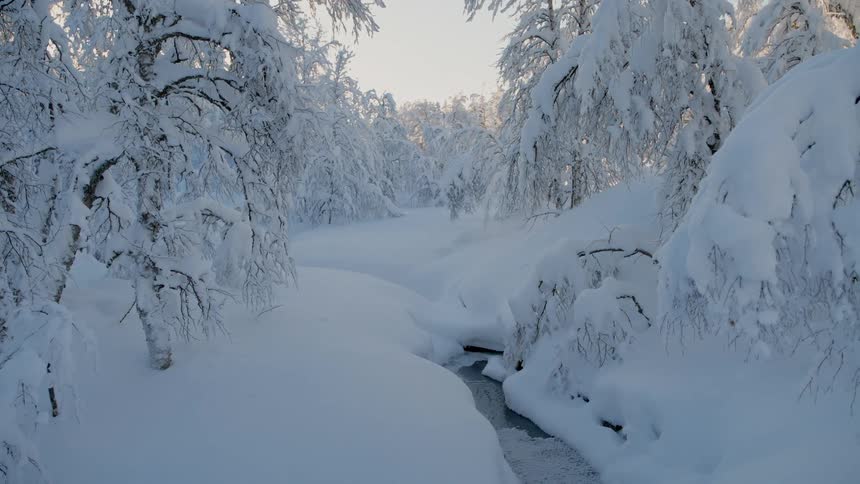 The ground and trees are completely covered in a layer of snow