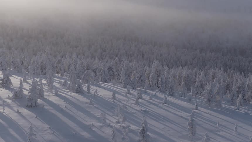 An aerial view captures a vast snowcovered forest where sunlight casts long dramatic shadows from frostladen treesa thick layer of mist hangs low over the background partially obscuring the dense treeline in a cold atmospheric haze