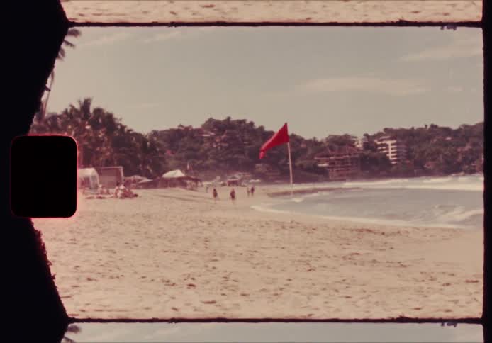 A red flag on a pole stands on a sandy beach near palm trees and ocean waves while people walk along the shore under a bright sky