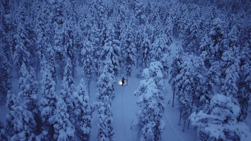 Person rides a bicycle through the snowy forest among frost covered conifers with its headlight on