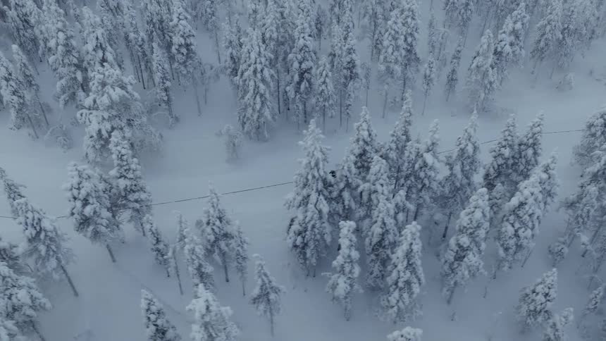 Aerial view of a man riding a bicycle on a snow covered road through a forest