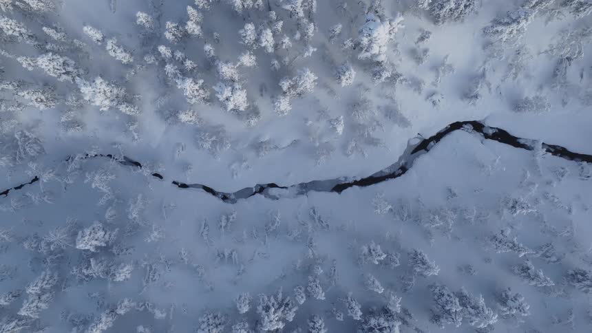 A river in a snow covered forest