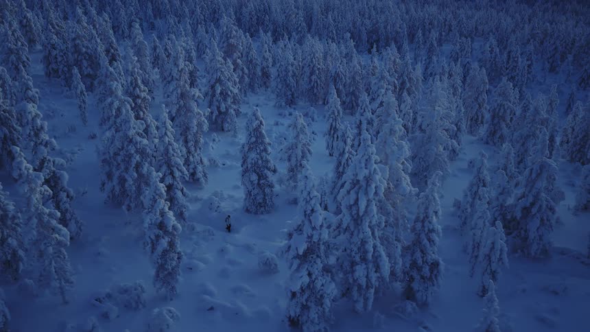 A person holding a flashlight while hiking through a winter forest at sunset walking along a path as snow covers the entire area
