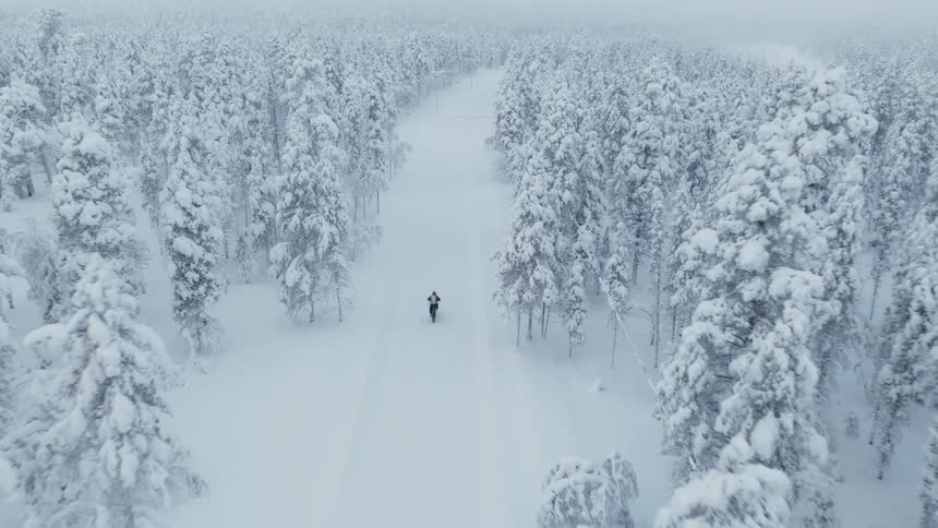 An aerial drone shot follows a lone person walking down a wide snowcovered path through a dense frozen forest the entire landscape is blanketed in thick white frost and mist creating a serene and wintry atmosphere
