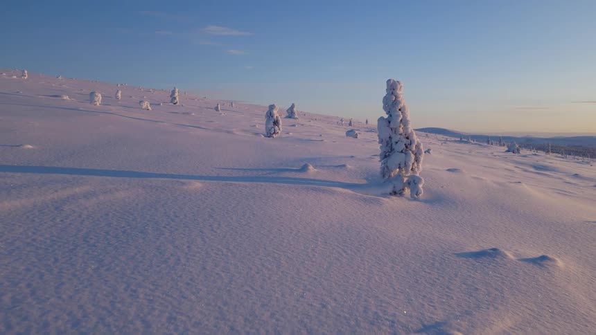 Sunlight shines on snow covered trees on a mountain slope
