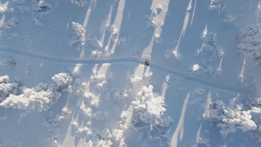 A lone hiker walks along a snow covered trail that is lined with trees