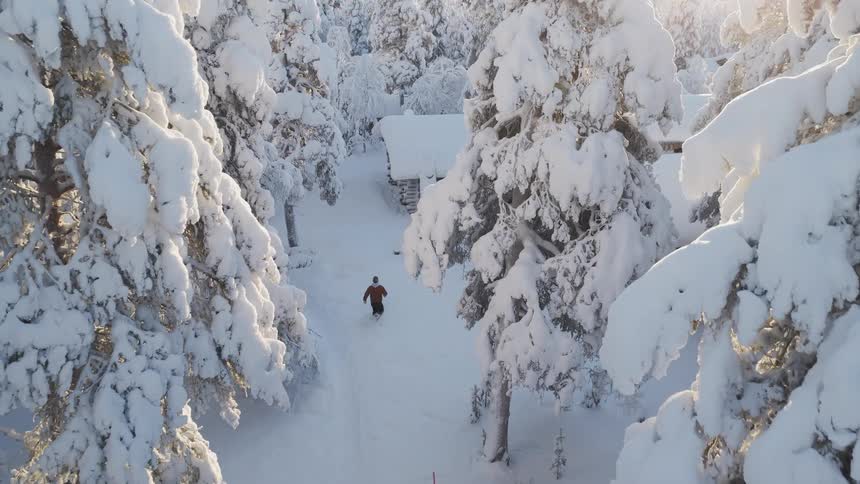 Person walks along a path between snowcovered trees