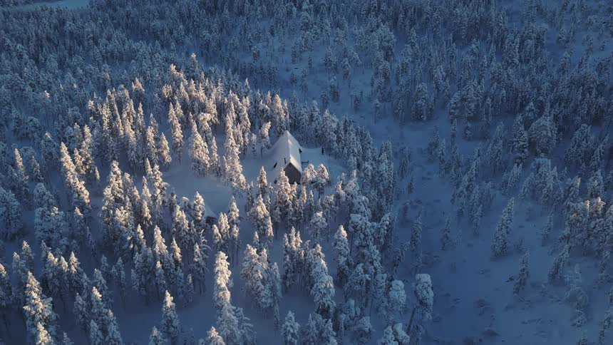 An aerial view shows a lone wooden cabin with a peaked roof tucked away in a dense forest of pine trees covered in thick white snow during a bright winter morning