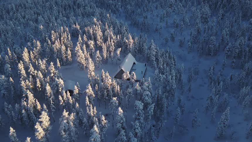 An aerial view shows a lone wooden cabin with a peaked roof tucked away in a dense forest of pine trees covered in thick white snow during a bright winter morning