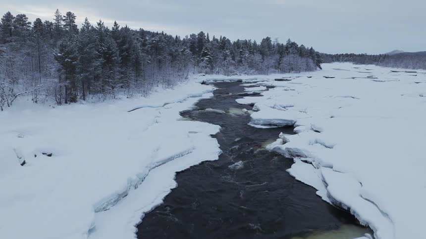 An aerial view shows a dark river flowing through a wide snow covered landscape with a dense pine forest on the bank under an overcast sky during winter