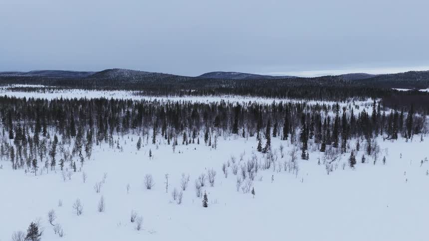 A frozen grassland with a mountain range in the background on a winter day