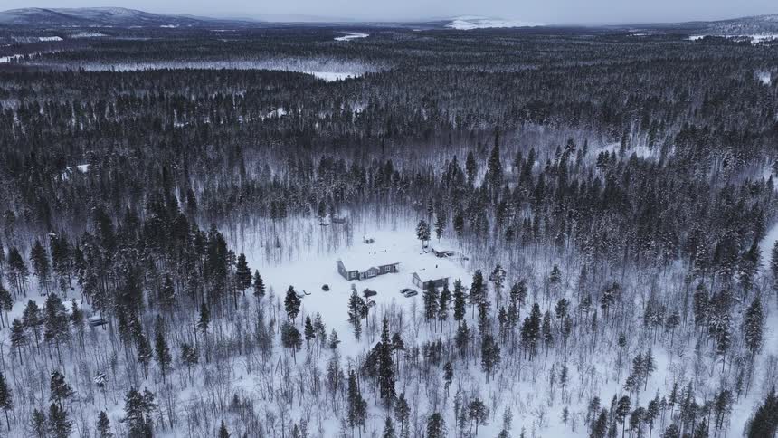 The snow covered forest is covered with tall trees