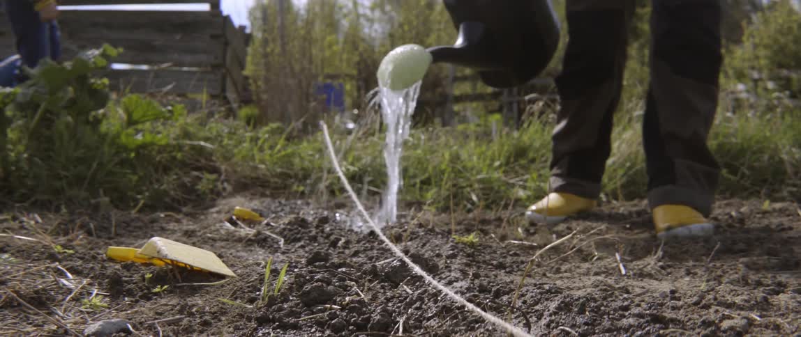 Person pouring water from watering can on dirt in garden