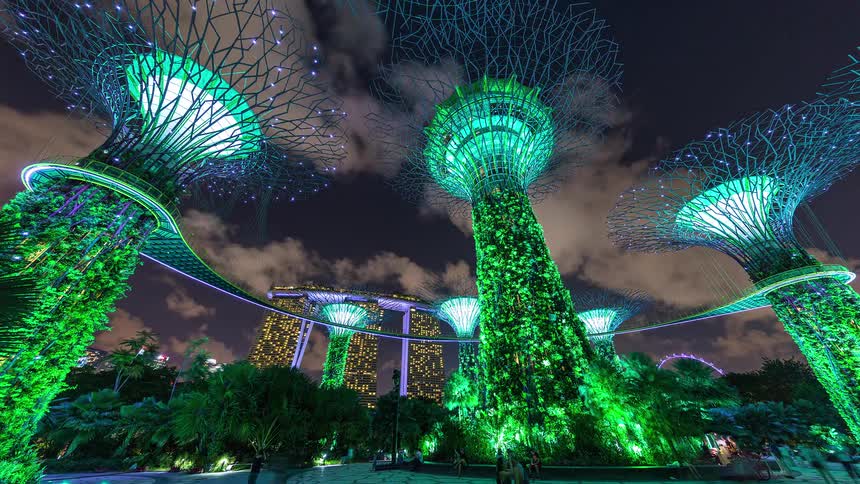 Towers shaped like giant trees glow with purple and green lights at night while a modern hotel with a boat shaped roof stands in the distance under a cloudy sky