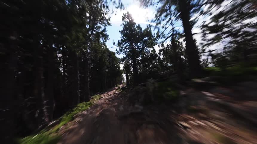 Trail passes through a conifer forest topped mountain overlooking a valley on a foggy day