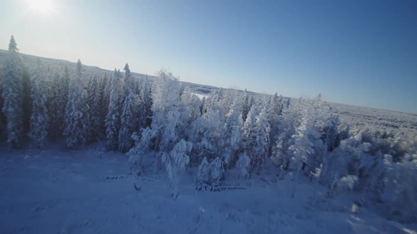 Snowcovered forest seen from above with a circular clearing among the trees