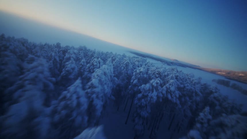 Snowcovered forest seen from above with hills in the background under a clear sky