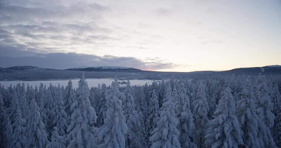 Aerial view of a snow covered forest located near coastal area