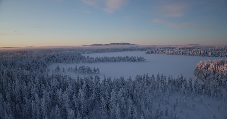 A vast frozen landscape where dense clusters of snow covered pine trees surround a flat icy clearing under a pale blue sky during a cold winter sunrise in the wilderness