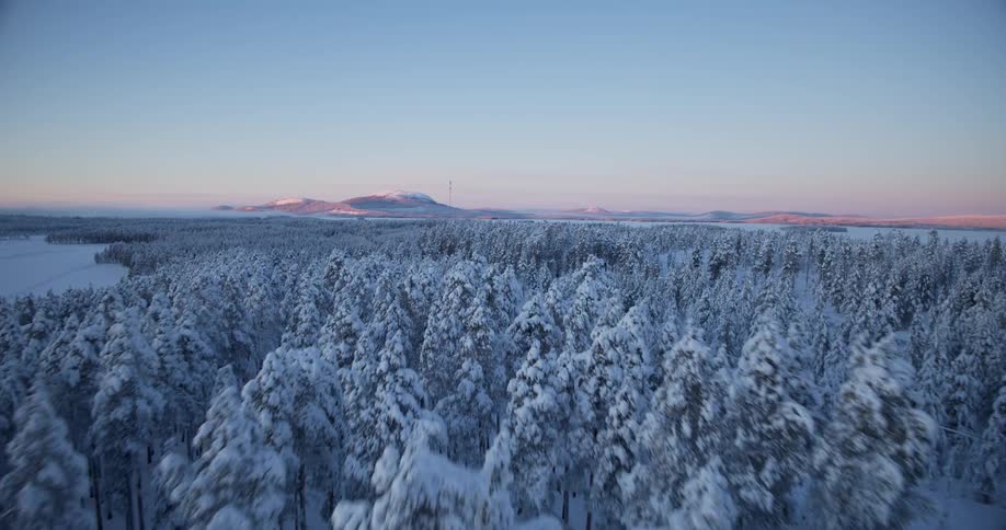 Forest of snow covered trees with mountains in the distance