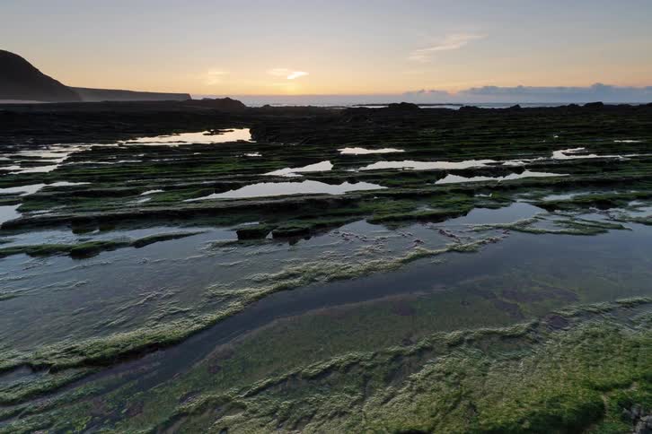 The sun sets over a rocky coastline with green moss and shallow tide pools reflecting the light while the sky fades from bright gold to soft purple
