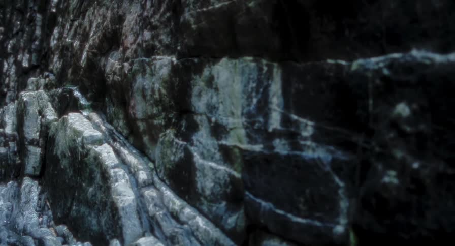 Dark wet rocks form an irregular cliff wall