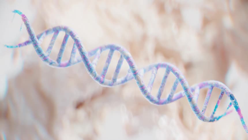 The dna strand is forming