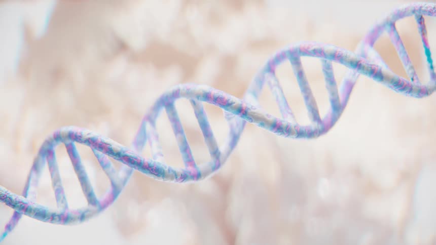 Stylized threedimensional dna structure
