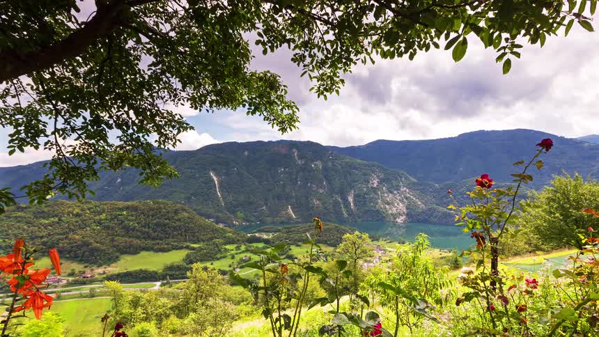 A lush green valley is nestled between rolling hills and a calm blue lake under a cloudy sky vibrant orange and red flowers bloom in the foreground framed by the overhanging branches of a tree