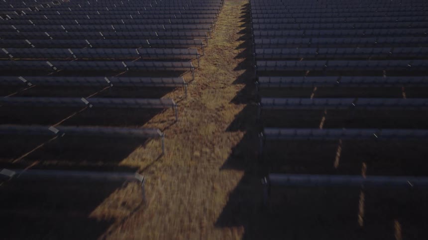 Rows of solar panels cover a field