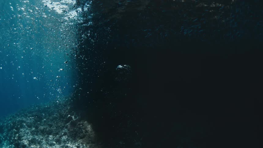 Bubbles rise from a dark underwater cave toward a dense school of fish swimming near the surface light above a rugged coral reef