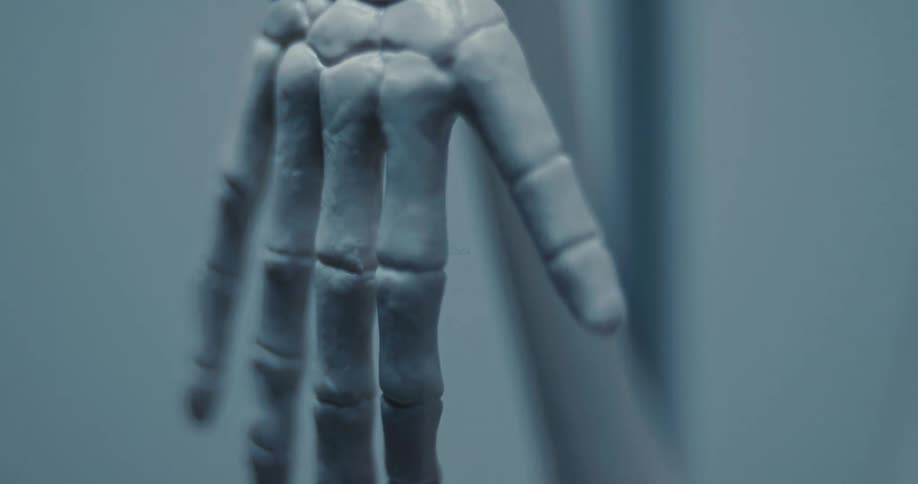 A close view shows the bony fingers and hand of a white skeleton model hanging in a room with soft light